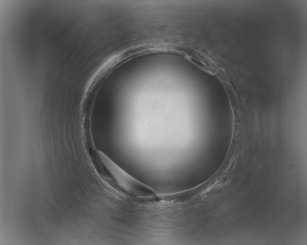 X0000054360197200508191828