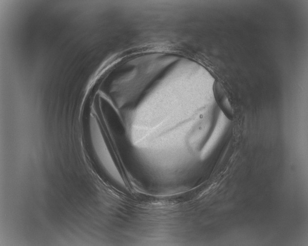 X0000054360198200508191828