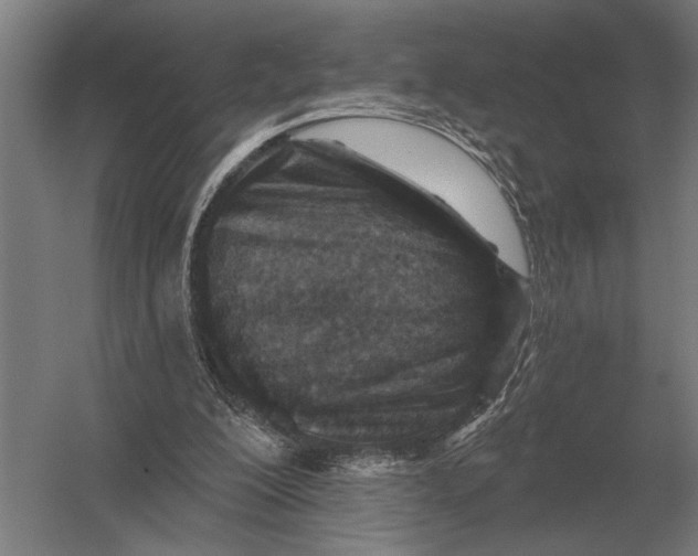 X0000054360200200508191828