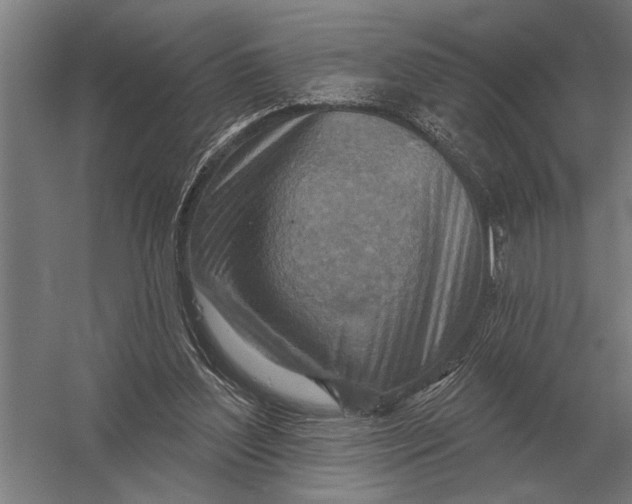 X0000054360204200508191828