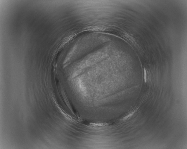 X0000054360205200508191828
