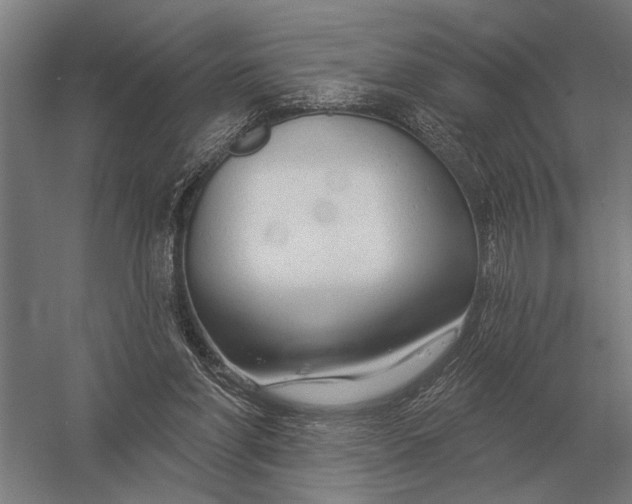 X0000054360206200508191828