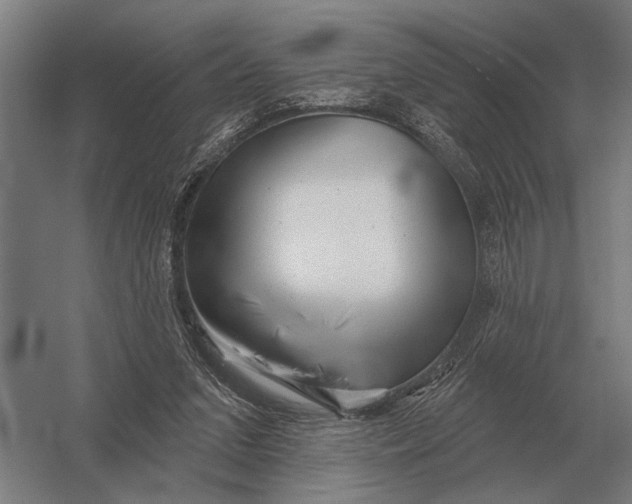X0000054360207200508191828