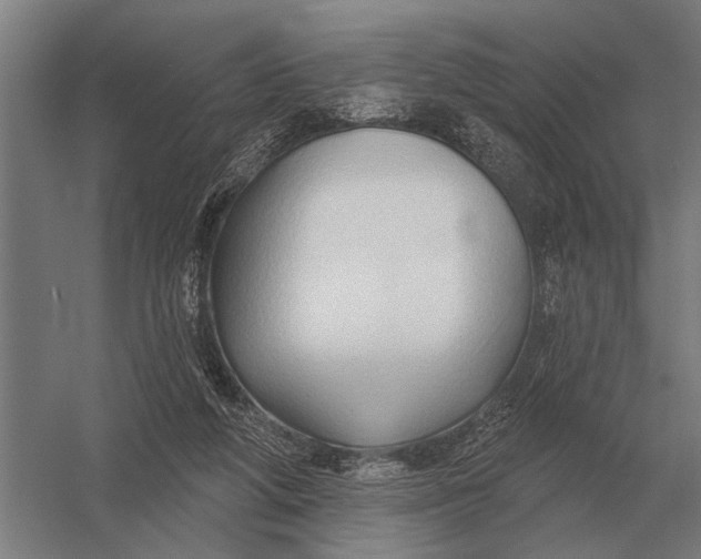 X0000054360210200508191828