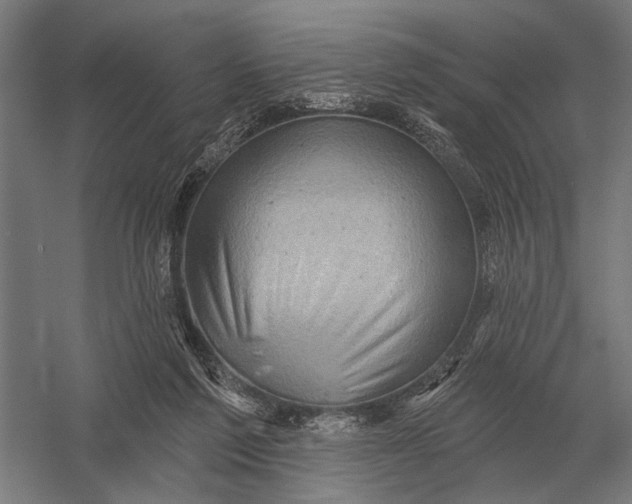 X0000054360213200508191828