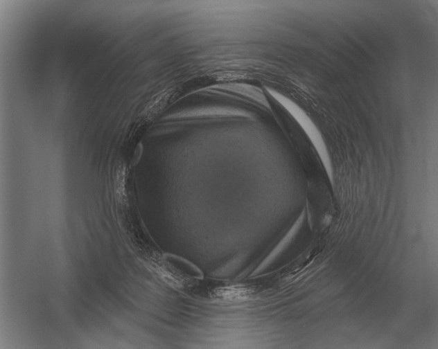 X0000054360219200508191828