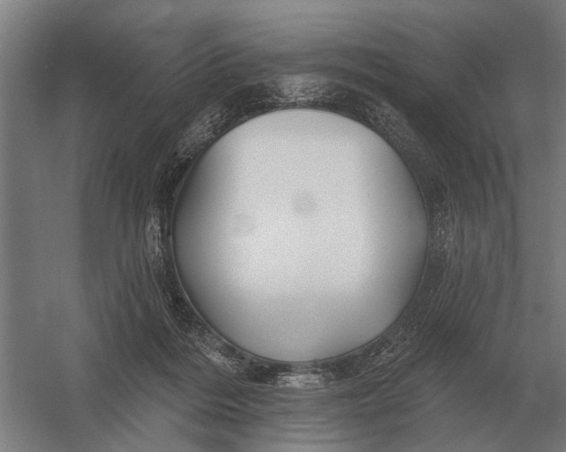 X0000054360220200508191828