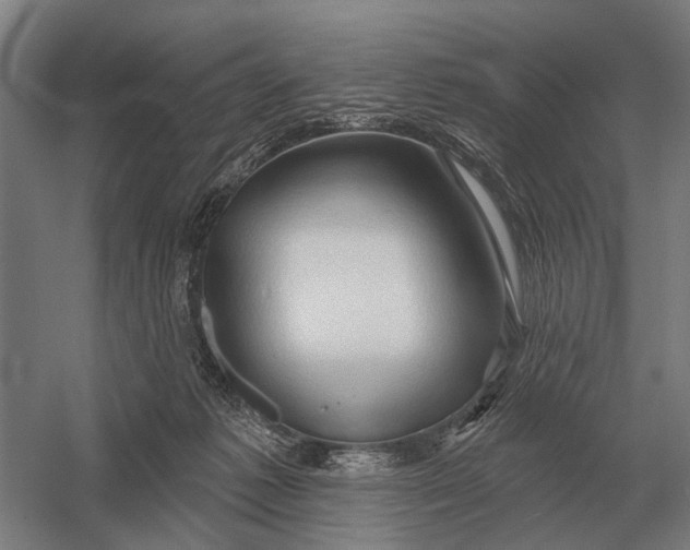 X0000054360221200508191828
