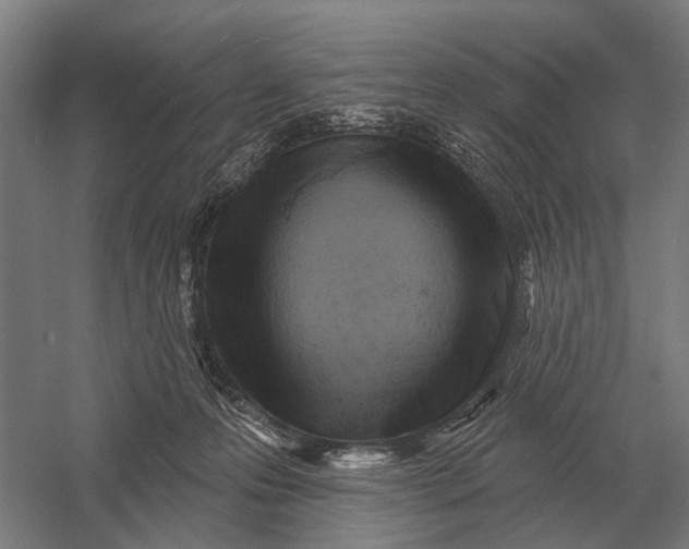 X0000054360223200508191828
