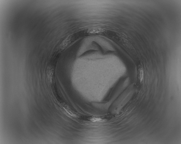 X0000054360227200508191828