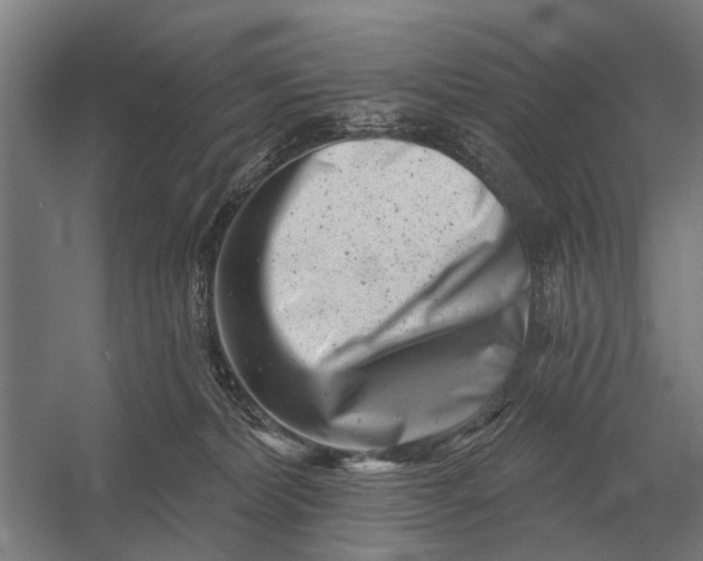 X0000054360228200508191828