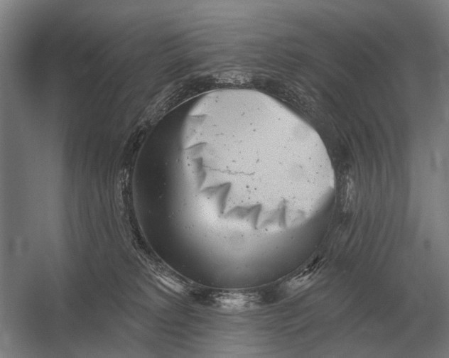 X0000054360229200508191828
