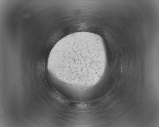 X0000054360230200508191828