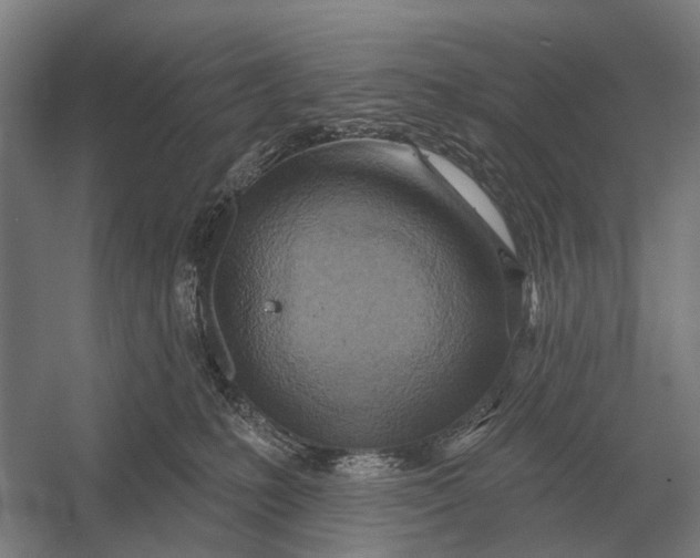 X0000054360231200508191828
