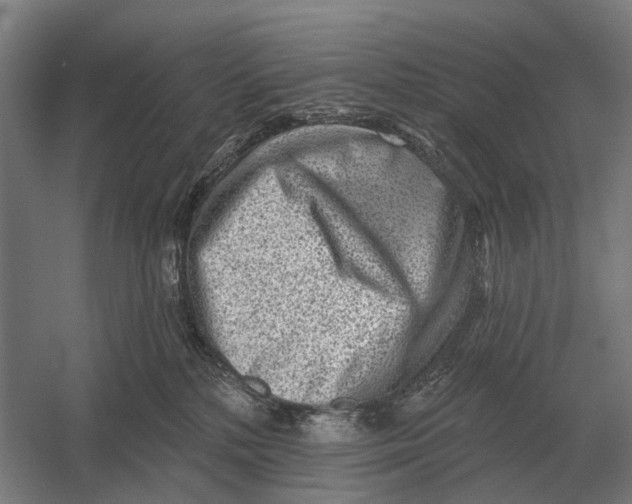 X0000054360232200508191828