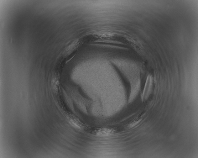 X0000054360235200508191828