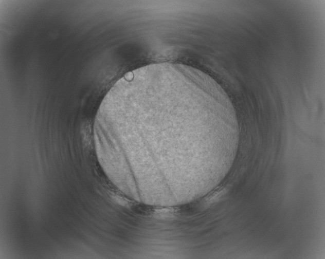 X0000054360240200508191828