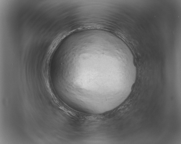 X0000054360241200508191827
