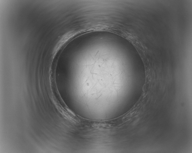 X0000054360242200508191827