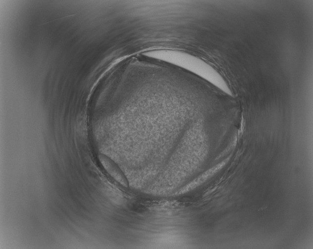 X0000054360243200508191827