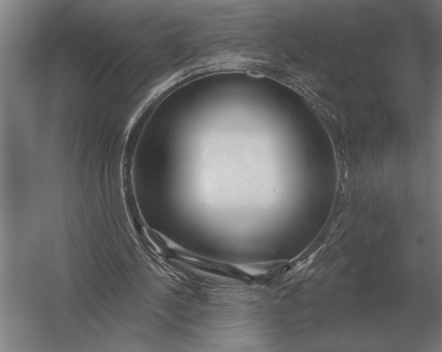 X0000054360244200508191827