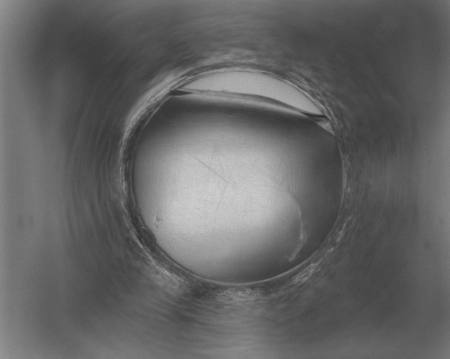 X0000054360245200508191827