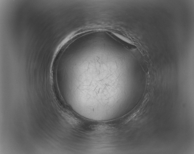 X0000054360246200508191827
