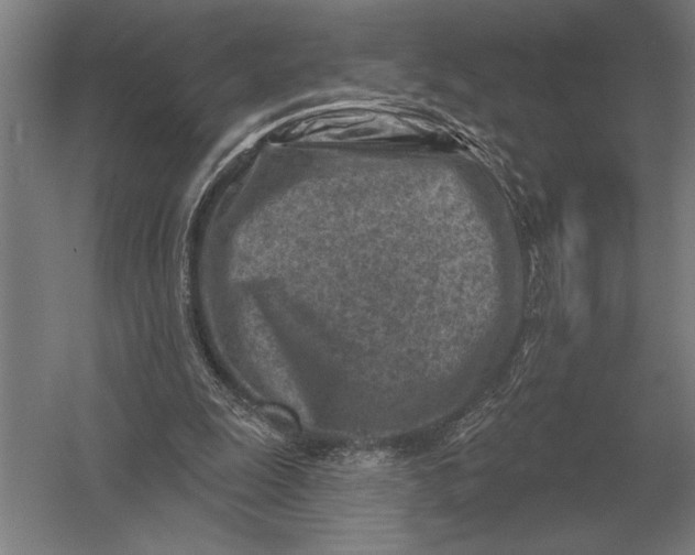X0000054360247200508191827