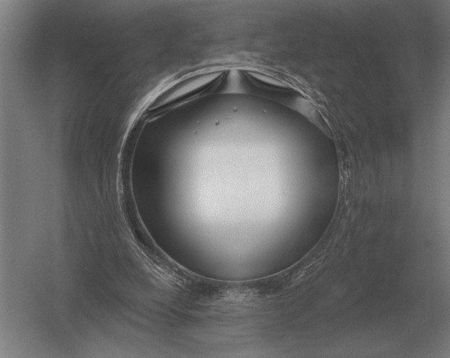 X0000054360248200508191827