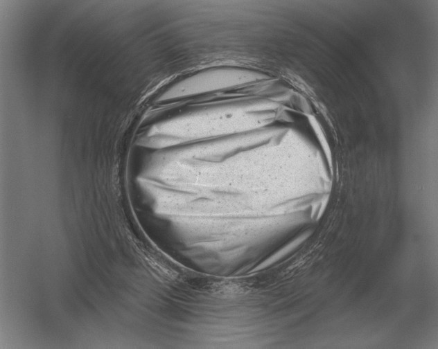 X0000054360249200508191827