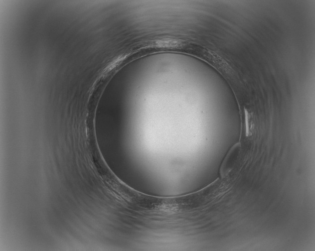 X0000054360252200508191827