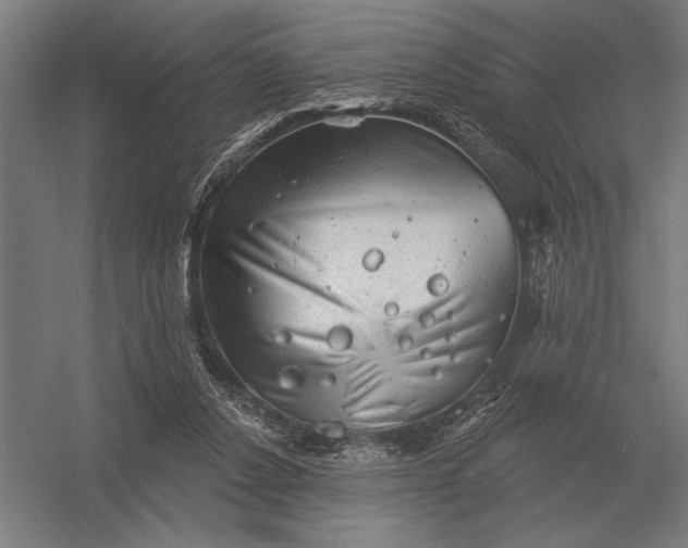 X0000054360256200508191827