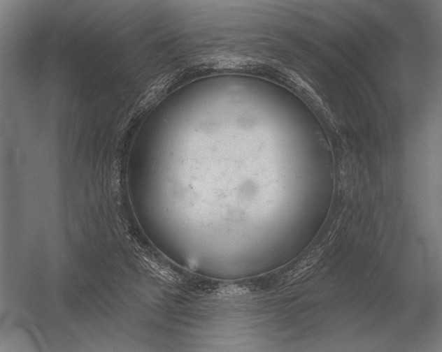 X0000054360257200508191827