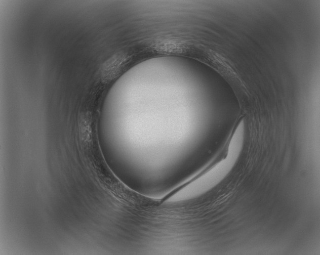 X0000054360259200508191827