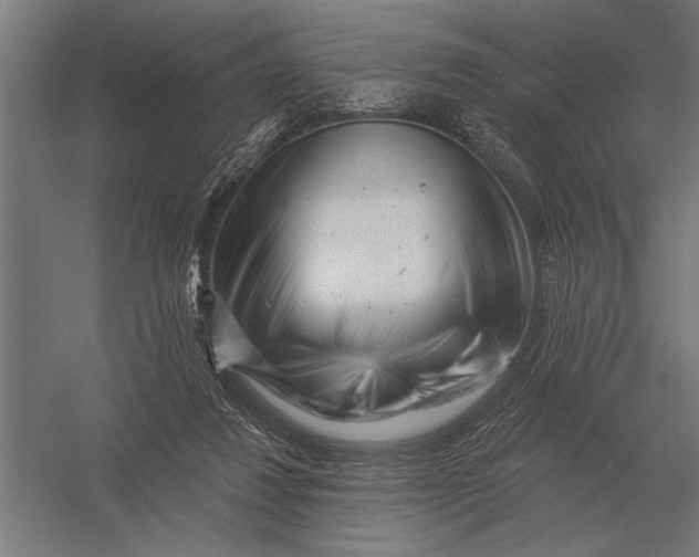 X0000054360260200508191827