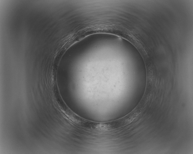X0000054360261200508191827