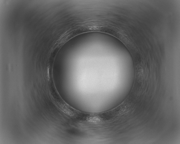 X0000054360262200508191827