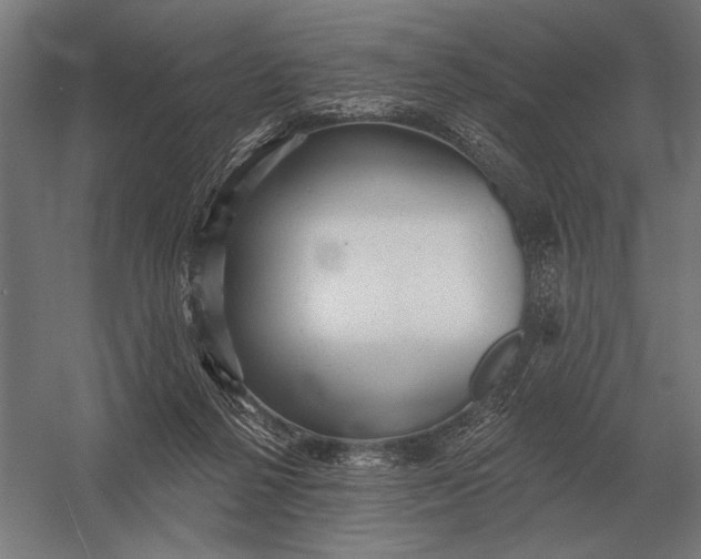 X0000054360264200508191827