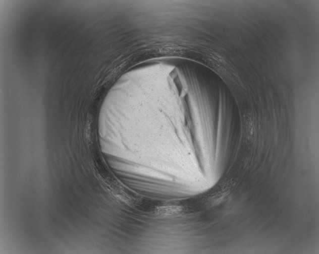 X0000054360266200508191827