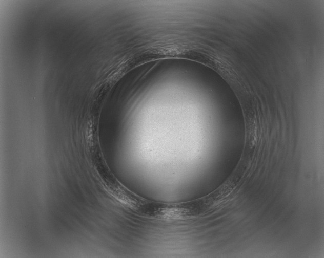 X0000054360268200508191827