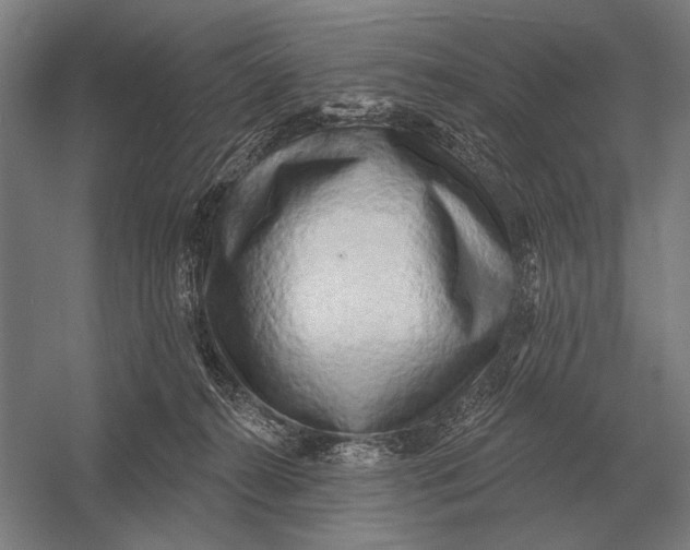 X0000054360272200508191827