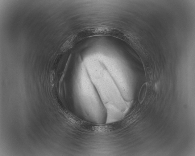X0000054360273200508191827