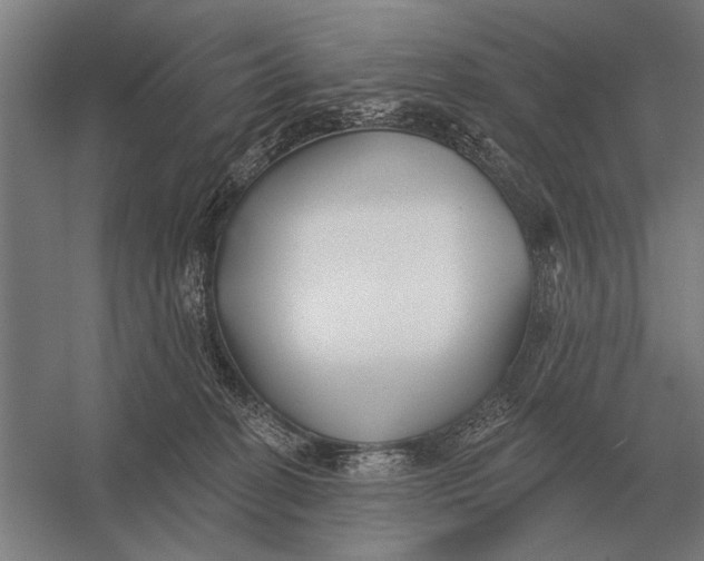 X0000054360274200508191827
