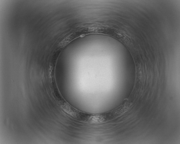 X0000054360275200508191827