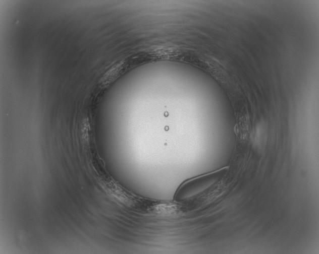 X0000054360279200508191827