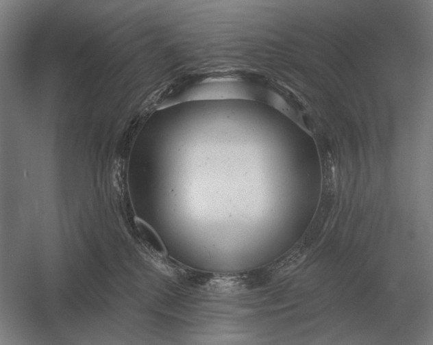 X0000054360280200508191827