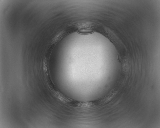 X0000054360282200508191827