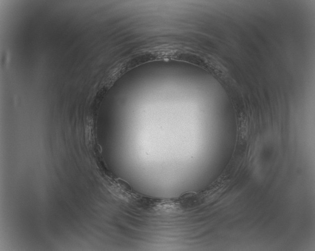 X0000054360283200508191827
