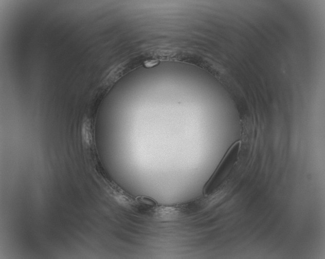 X0000054360287200508191827