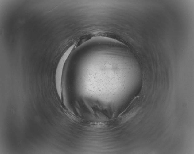 X0000054360288200508191828